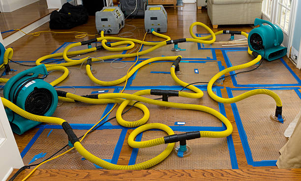 Professional Burst Pipe Water Damage technician working in Arcadia, WI